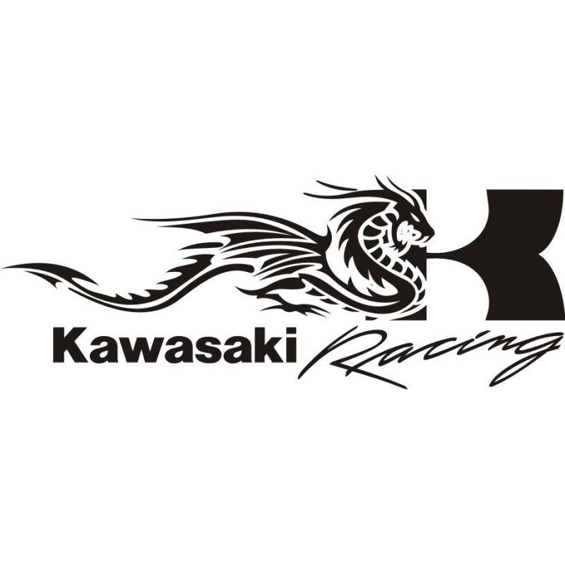 Kawasaki Dragon Racing Sticker Autocollant Kawasaki