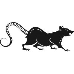 Rat - Sticker autocollant