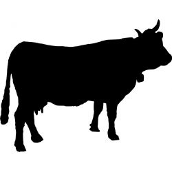 Vache - Sticker autocollant