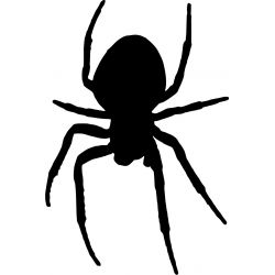 Araignée - Sticker autocollant
