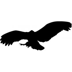 Silhouette Aigle 8 - Sticker autocollant