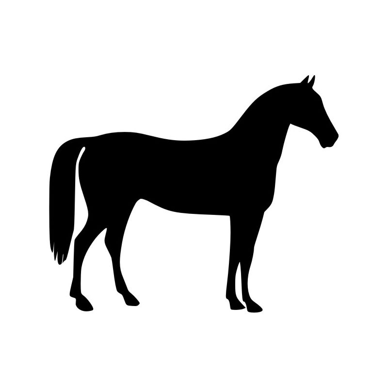 Silhouette de Cheval 8 - Sticker autocollant