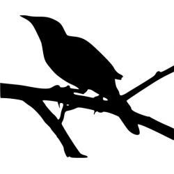 Oiseau sur une branche - Sticker autocollant
