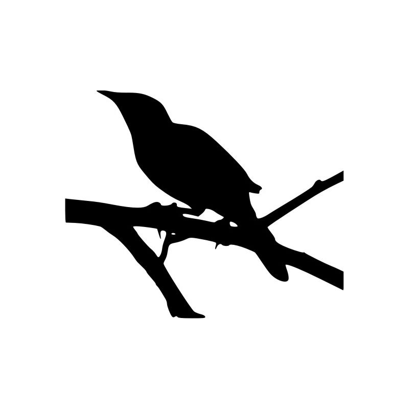 Oiseau sur une branche - Sticker autocollant