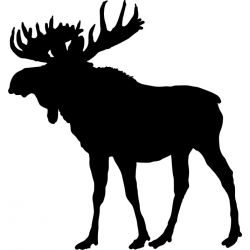 Moose Silhouette - Sticker autocollant