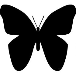 Papillon 22 - Sticker autocollant