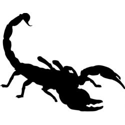Scorpion 2 - Sticker autocollant