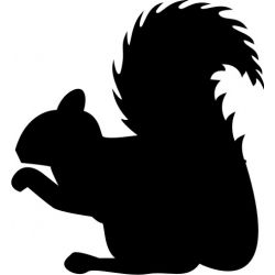 Silhouette ecureuil - Sticker autocollant