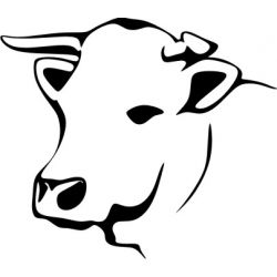 Dessin tete de vache - Sticker autocollant