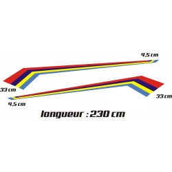 Bandes latérales R2 pour Peugeot 206, 207, 208 ...