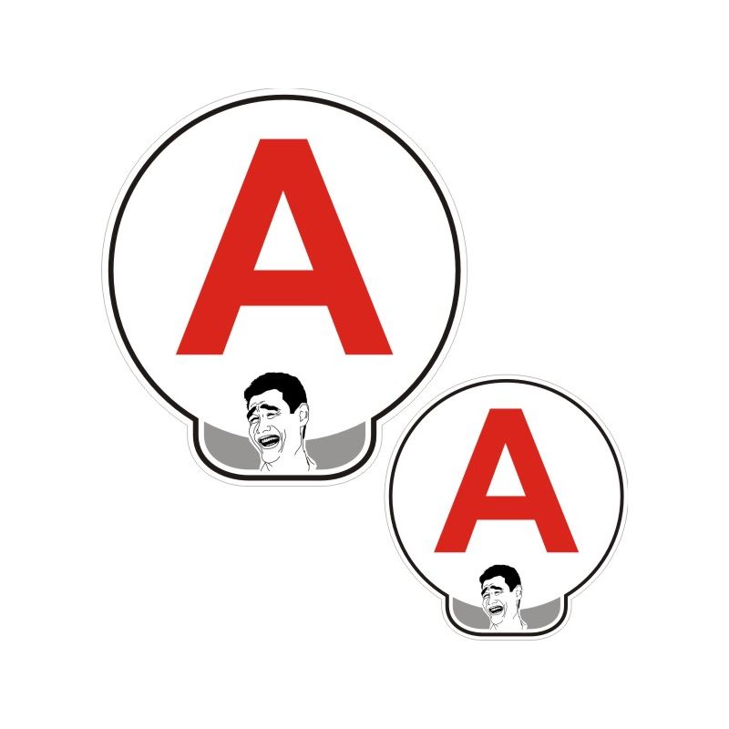 LOT DE 2 DISQUES " A " JEUNE CONDUCTEUR AUTOCOLLANT 15 Cm _ Livraison