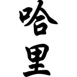 Harry - Sticker prénom en Chinois